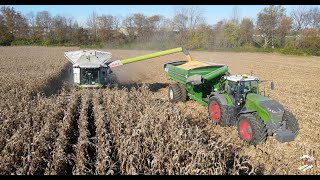 2023 CORN HARVEST near Eaton Ohio  Claas Lexion Combine amp Fendt Trac tor [upl. by Cohe]