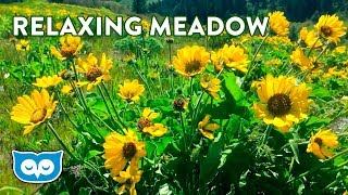 Relaxing Spring Meadow Ambience  2 Hours Ambient Nature Sounds for Calming amp Focus [upl. by Ojeitak125]