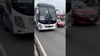 YUTONG VOLVO Dela Rosa Express DX 300 Elavil and St Jude Transport seanescapade [upl. by Stephenson]