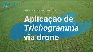 Aplicação de Trichogramma via drone  Geocom [upl. by Suivart976]