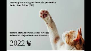 Peritonitis Infecciosa Felina  Guias para el diagnostico  Parte I [upl. by Wandis]