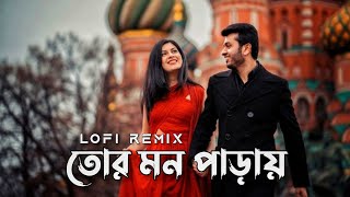 Tor Mon Paray তোর মন পাড়ায়  Mahdi Sultan  Bangla LoFi Song [upl. by Garson]