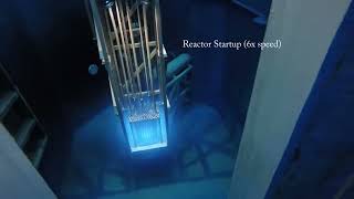 Top 5 Amazing Nuclear Reactor Startups [upl. by Colbye]