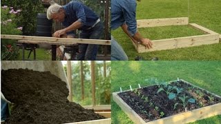 Create a no dig raised bed compost on weeds with tips on planting  see the growth [upl. by Nadroj348]