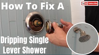 How to Fix a Leaking Single Lever Shower [upl. by Yumuk]