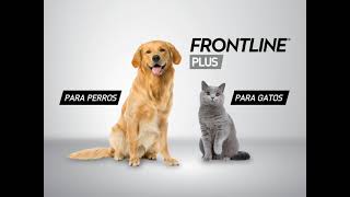 FRONTLINE® PLUS  MÁXIMA PROTECCIÓN PARA TU MASCOTA [upl. by Gustavus]