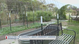 Texarkana community garden education class [upl. by Shayn]