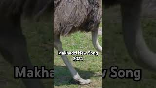 Makhadzi New Song 2024 🔥🔥 WE CAN DO IT makhadzi amapiano shorts shortvideo short [upl. by Nit]