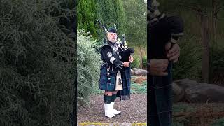 Cameronians Scottish Rifles Piper [upl. by Burchett]