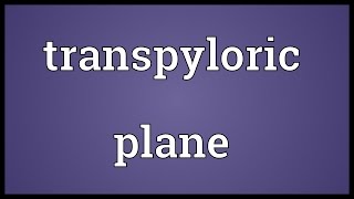 Transpyloric plane Meaning [upl. by Dlanigger]