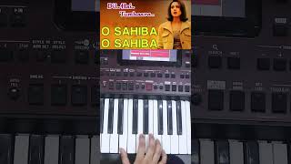 O Sahiba O Sahiba Instrumental Shorts [upl. by Nirraj]