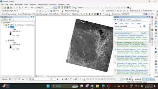 Calculating NDVI of Landsat Image in ArcMap  GIS [upl. by Hermina]