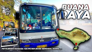 DENPASARGILIMANUK Cuma Rp 60 Ribu Doang Naik Bus Medium dari Terminal Ubung Denpasar [upl. by Yenreit]