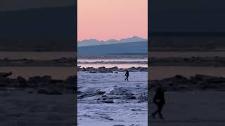 Massive Whale Beached Off Anchorage Alaska’s Coastal Trail amp Spectacular Sunset Lit Alaska Range [upl. by Bathsheb]