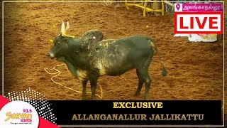 Alanganallur Jallikattu 2018  LIVE  Part 1 [upl. by Laehcim255]