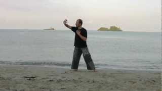 Medical Qi Gong to Balance Water Phase and KidneyBladder Channels [upl. by Wash]