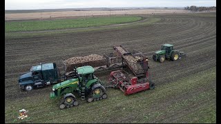 Colorado Sugar Beet Harvest  2022 [upl. by Auqinahc904]