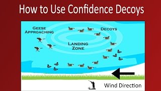 How to Use Confidence Decoys [upl. by Nored694]