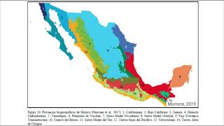 Regiones biogeográficas de México Región Neotropical [upl. by Rubma]