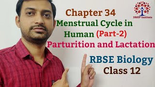 Class 12 Chapter 34 Menstrual Cycle in Human  Parturition  Lactation  RBSE Biology Part2 [upl. by Ahtenek]