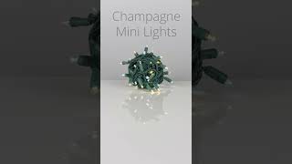 New Champagne Christmas Lights from Wintergreen Lighting [upl. by Nykal478]