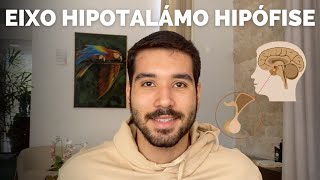 EIXO HIPOTÁLAMO E HIPÓFISE  Fisiologia Endócrina [upl. by Ahsatin]