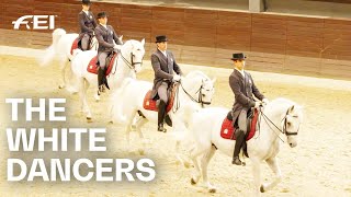 Lipica Stud Home of the famous white Lipizzaner  RIDE presented by Longines [upl. by Derron]