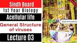 general structure of viruses  acellular life  chapter 5  class 11 biology Sindh text book board [upl. by Pierrette]