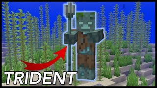 How To Get A Trident In Minecraft [upl. by Natal]