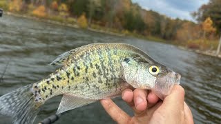 How To Catch Crappie In The Fall At Taylorsville Lake [upl. by Erdnoid]