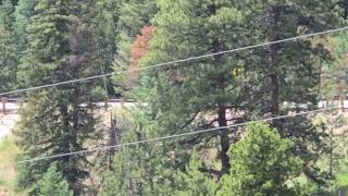 Crotch rocket racing Boulder Canyon [upl. by Ojytteb113]