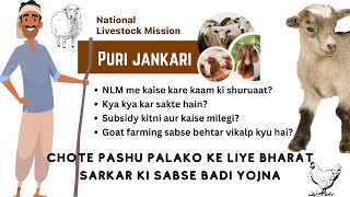 National Livestock Mission  NLM ki puri jankari  subsidy kaise milegi  Best Government Scheme [upl. by Ettevad]