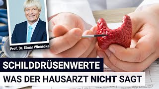 Schilddrüsenwerte was der Hausarzt NICHT sagt  Interview mit Prof Dr Wienecke [upl. by Koran154]