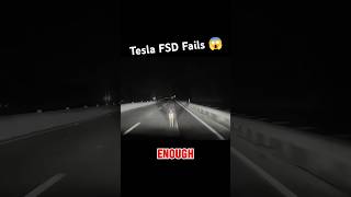 Tesla’s FSD Fails To Detect Deer On The Road Doesn’t Even Slow After Impact shorts teslafsdbeta [upl. by Ariam]