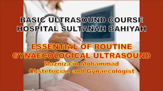 ESSENTIALS GYNAECOLOGICAL ULTRASOUND SCAN [upl. by Adamo]