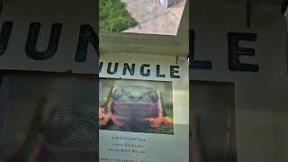 Jungle Photicular Book junglebook insects atlas [upl. by Htidirem525]