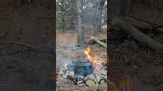 Solo trip in the forest  Bushcraft bushcraft skogsbad woodsman bowsaw [upl. by Heathcote919]