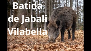 Batida de Jabali en Vilabella [upl. by Rudolph]