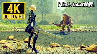 NieR Automata  4K Gameplay GTX 1080  4K ✔ [upl. by Walczak]