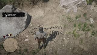 Dinosaur Bone 29 Red Dead Redemption  Heartlands Dewberry Creek Bone Location [upl. by Lener723]