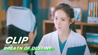 Clip Li Tiancheng Is Going To Leave  Breath of Destiny EP30  一起深呼吸  iQiyi [upl. by Fredenburg]