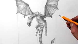 How to Draw a Dragon in Flight for Beginners [upl. by Arch]