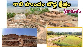 Salihundam  Srikakulam Buddist Monumen  vijaysjourney buddist nature travelvlogs traveller [upl. by Ennayar]