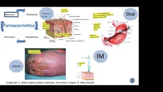 Farmacología Básica en el paciente pediátrico Anestésicos inhalados y endovenosos [upl. by Rubi]