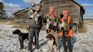 Pheasant Hunting on North Dakotas Mallard Island  The Flush Season 11 Episode 6 [upl. by Hteboj]