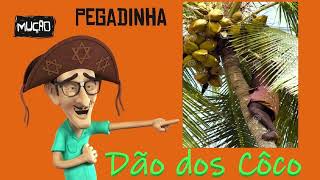 Pegadinha do Mução 🌵 Dão dos Côco 🥥🥥 😂 [upl. by Audsley]