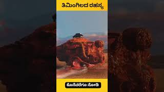 Whale explode facts kannada facts factsinkannada [upl. by Esilec]