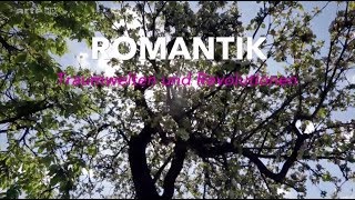 Epoche Romantik Zusammenfassung [upl. by Aleakam379]