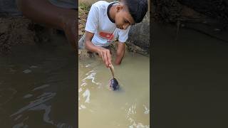 Attractive Unique Hand Fishing Challenge Video😲fishinghandfishingshorts [upl. by Vincenz220]