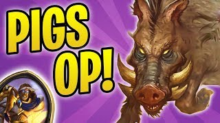 PIGS VS EXODIA PALADIN  Rank 1 with Emeriss Hunter  The Witchwood  Hearthstone [upl. by Aierbma]